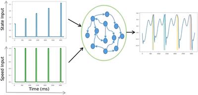 Time and Action Co-Training in Reinforcement Learning Agents